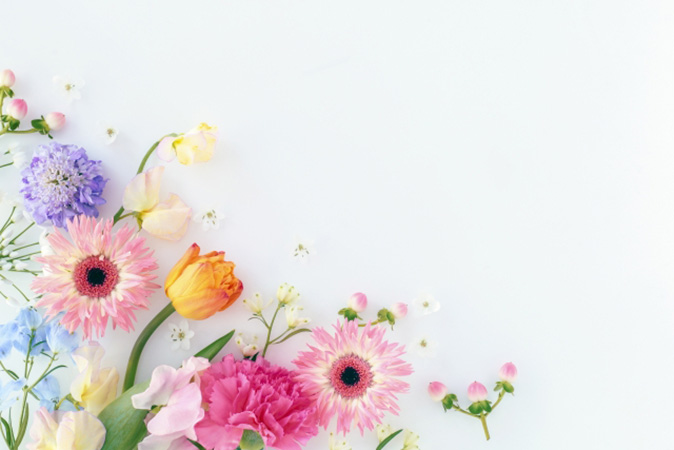 ワークショップ