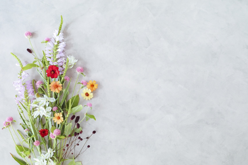 オンラインショップ